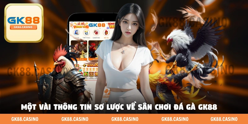 Một vài thông tin sơ lược về sân chơi đá gà GK88