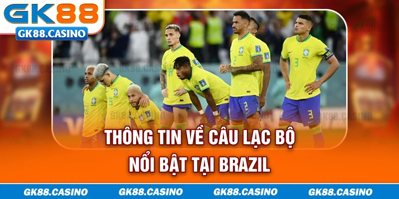Thông tin về câu lạc bộ nổi bật tại Brazil